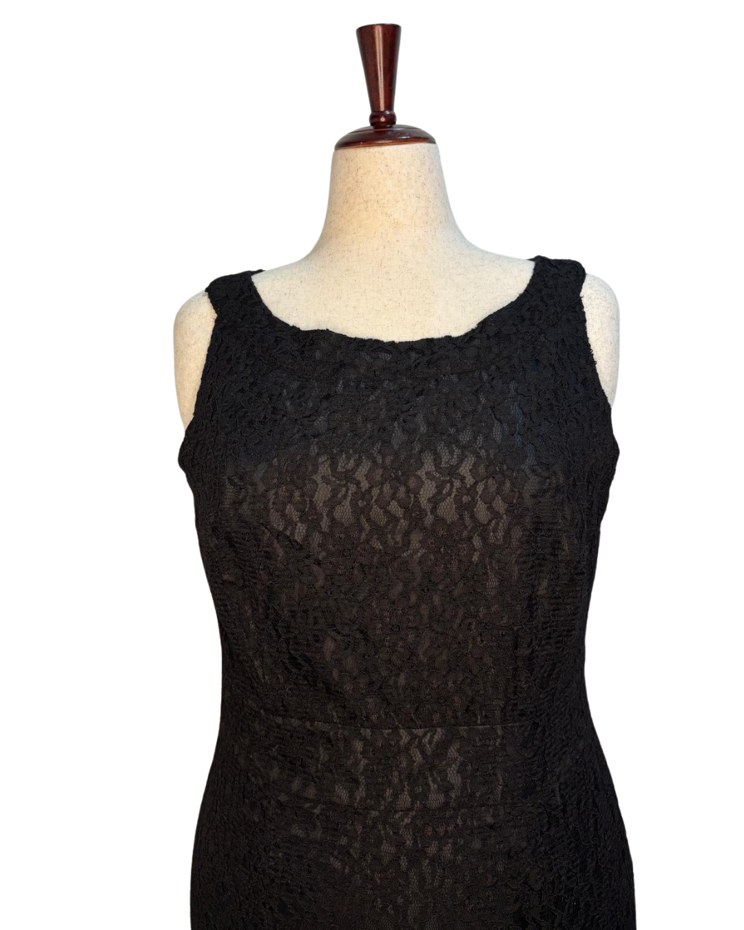 Serpentine Lace Dress